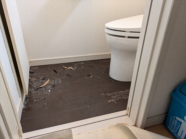 強化フィルム撤去後のトイレの床