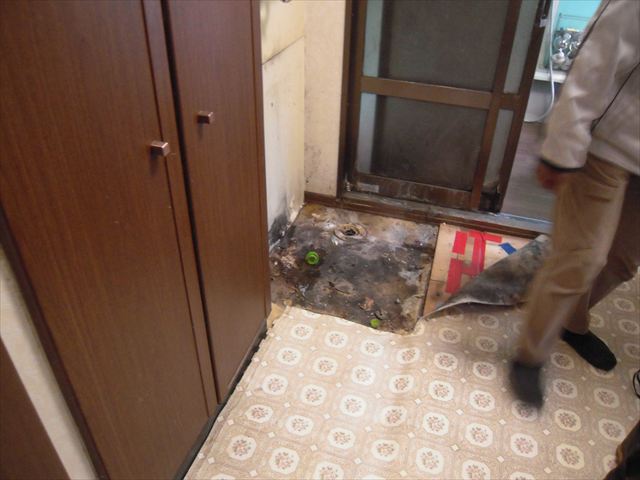 洗濯機をどかした跡のカビ