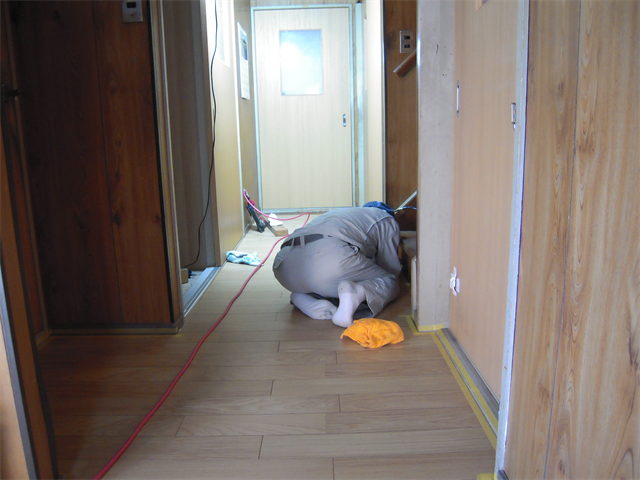 階段前の廊下部分の養生