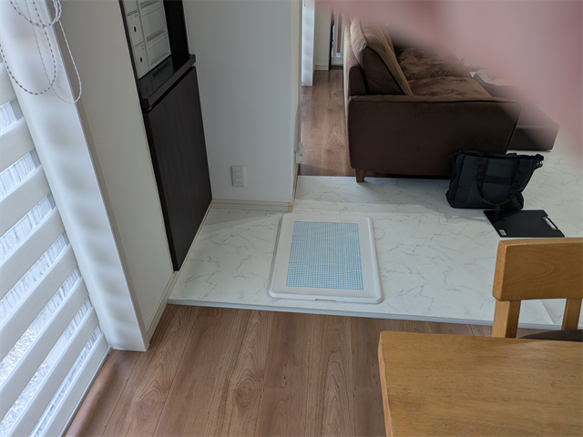 床に置かれたペットシーツ