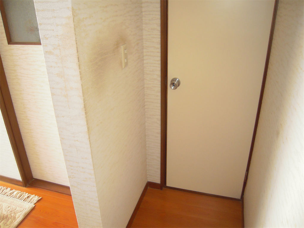 トイレの入り口手すり設置前