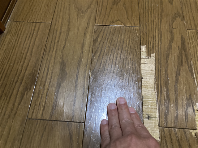 ぶかぶかする廊下の床