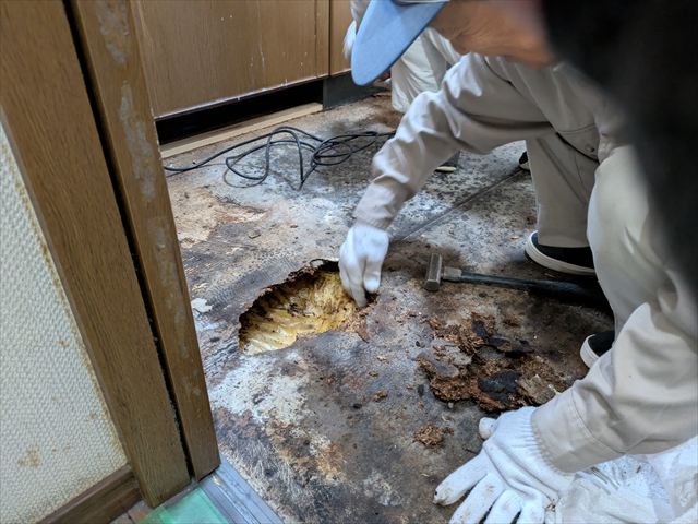 パーティクルボードの撤去作業
