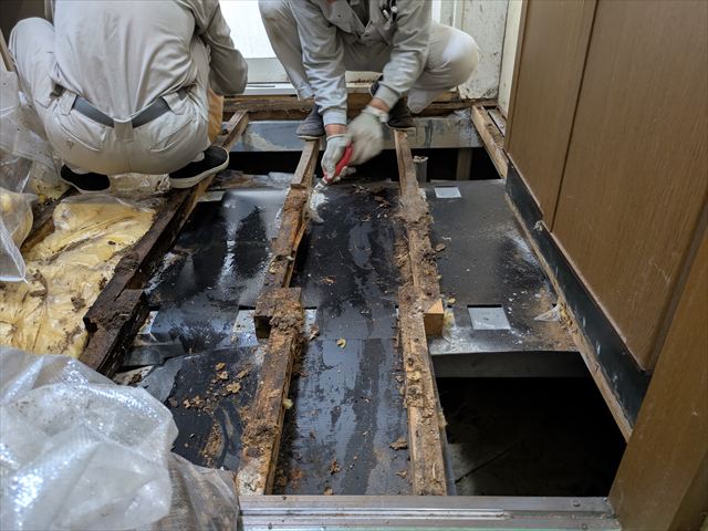 水漏れによって水に濡れたシート